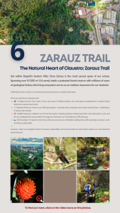 Zarauz trail